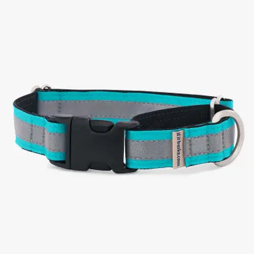 Close-up of a reflective green comfort martingale dog collar with a distinctive Navajo pattern.