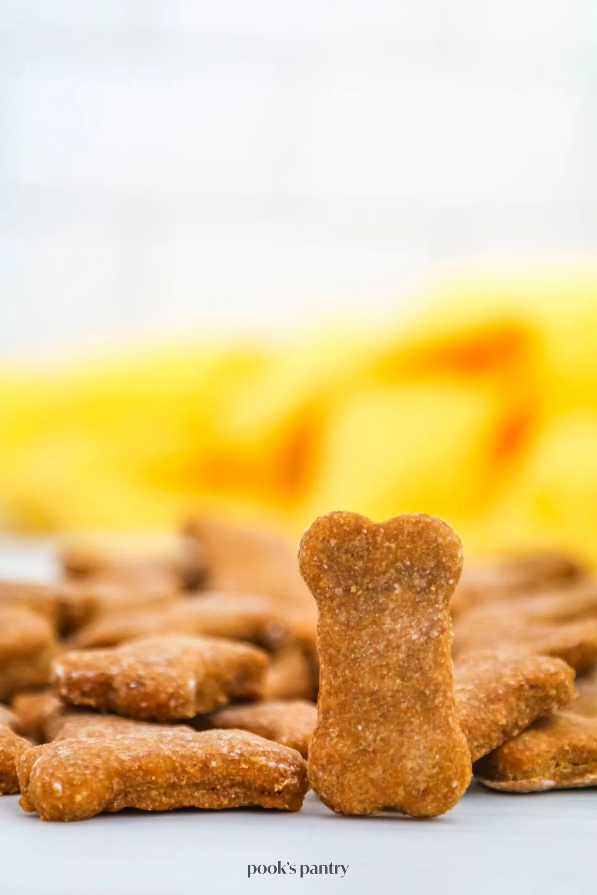 Close-up of a single bone-shaped banana pumpkin dog treat against a vibrant yellow background, highlighting its texture.