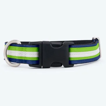Close-up of a stylish green and white striped dog collar with a durable plastic buckle.