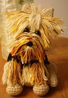 Close-up of a Toy Yorkie puppy's face