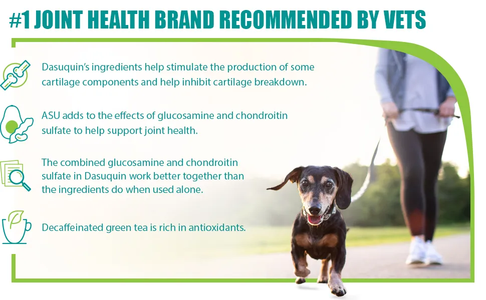 Close-up of Dasuquin chewable tablets for dogs.