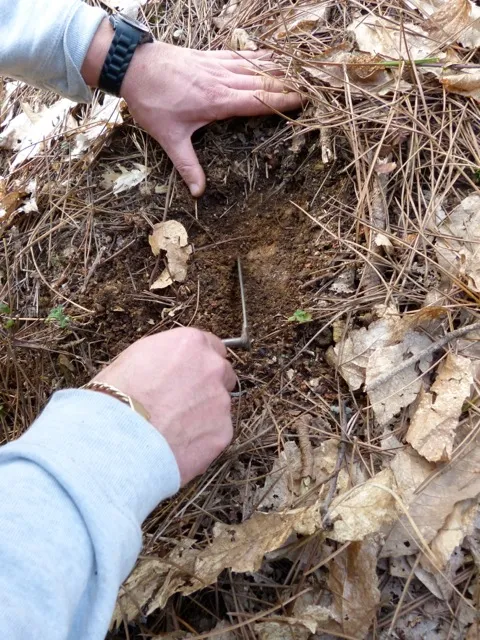 Close-up of freshly dug earth ideal for truffle foraging