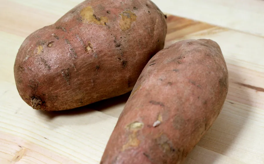 Close-up of freshly made air fryer sweet potato dog treats, showing their golden brown, chewy texture, perfect for a healthy dog snack.