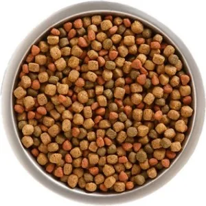 Close-up of Rachael Ray Nutrish kibble, illustrating typical dry dog food size for small breeds