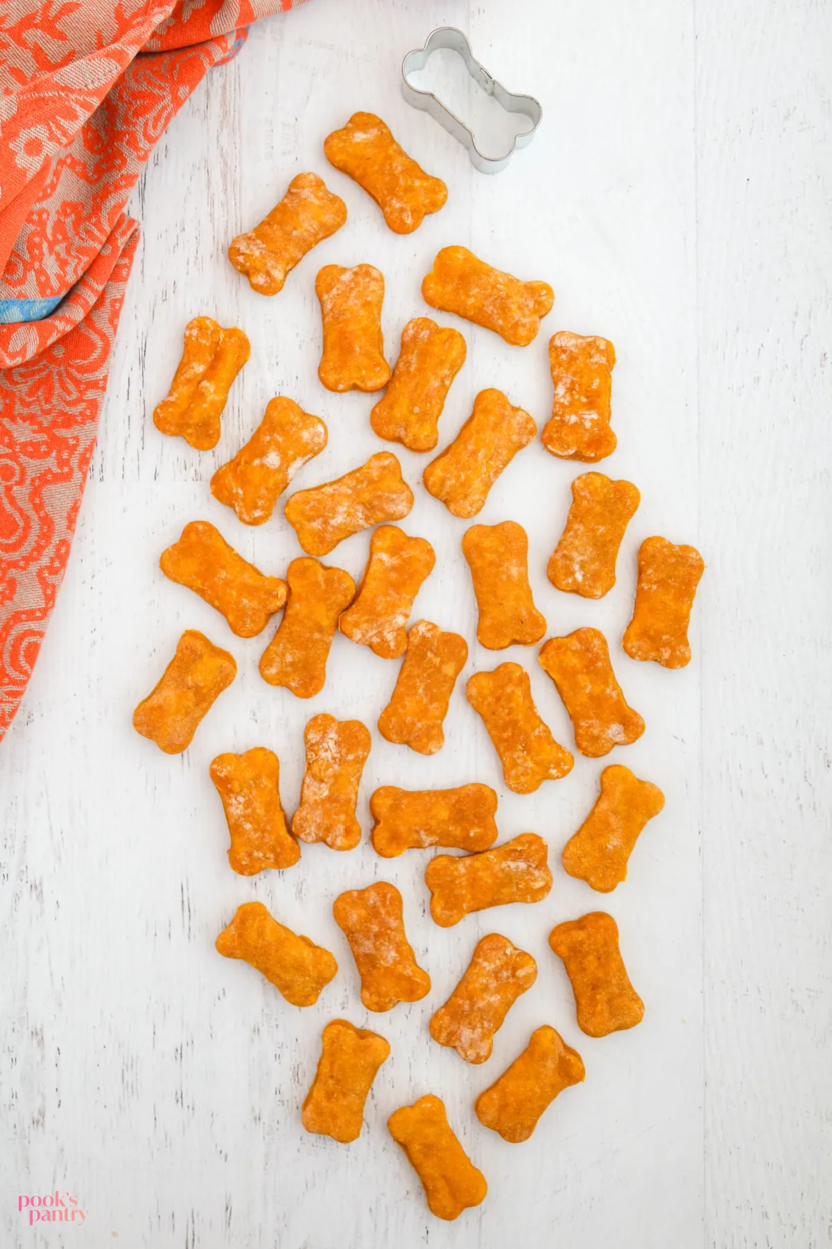 Close-up of soft, chewable pumpkin treats on a white surface, designed for senior dogs' dietary needs and easier digestion.