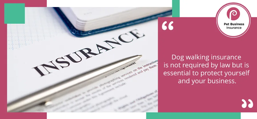 Close-up view of insurance documents and a pen, symbolizing the importance of securing comprehensive dog walking business insurance in the UK.