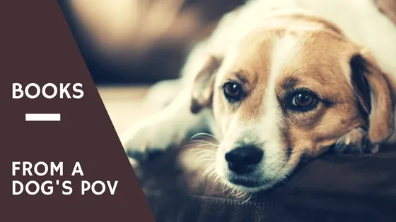 Collection of books told from a dog's perspective