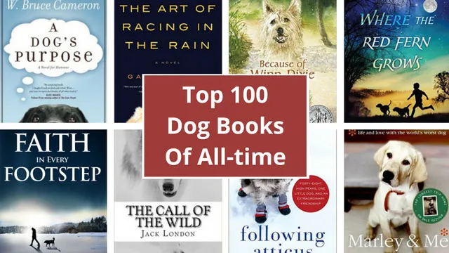 Collection of various popular books with dog in the title, showcasing bestsellers for dog lovers