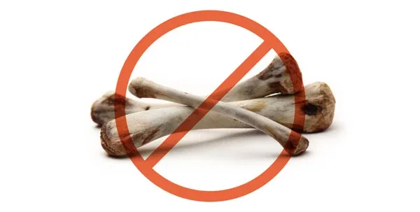 Cooked bones from a meal, a common but unsafe chew option for dogs due to splintering.