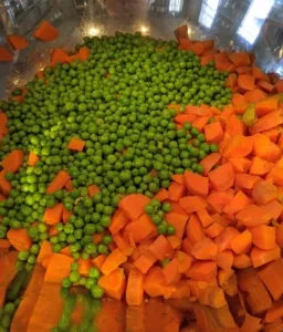 Cooked carrots and peas, sources of fiber, vitamins, and minerals, essential for a balanced homemade dog food recipe.