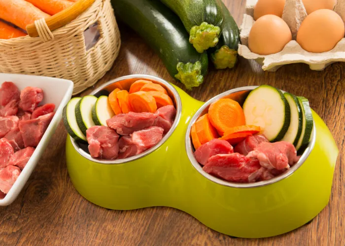 Cooked duck with green beans, quinoa, and flaxseed oil in a dog bowl