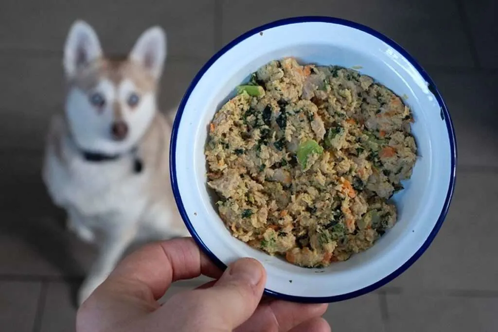 Copper and Skye enjoying their meals from The Farmer's Dog