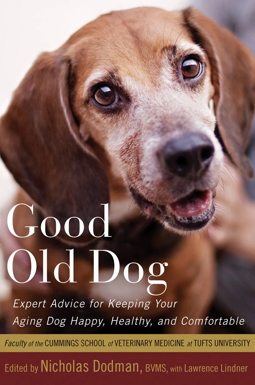 Cover of the book "Good Old Dog: Expert Advice for Keeping Your Aging Dog Healthy, Happy and Comfortable" by Nicholas Dodman