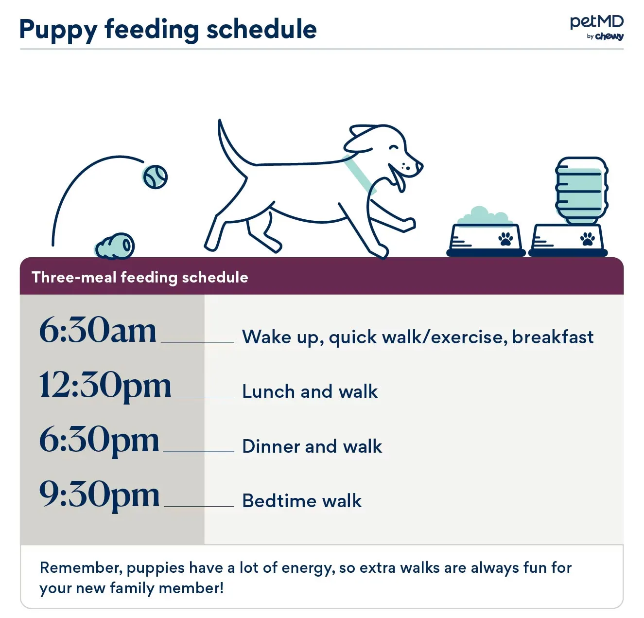 Daily feeding and activity schedule for a 3-month-old puppy, including breakfast, lunch, dinner, and walks.