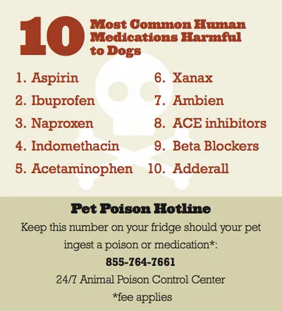 Dangerous human medications list for dogs