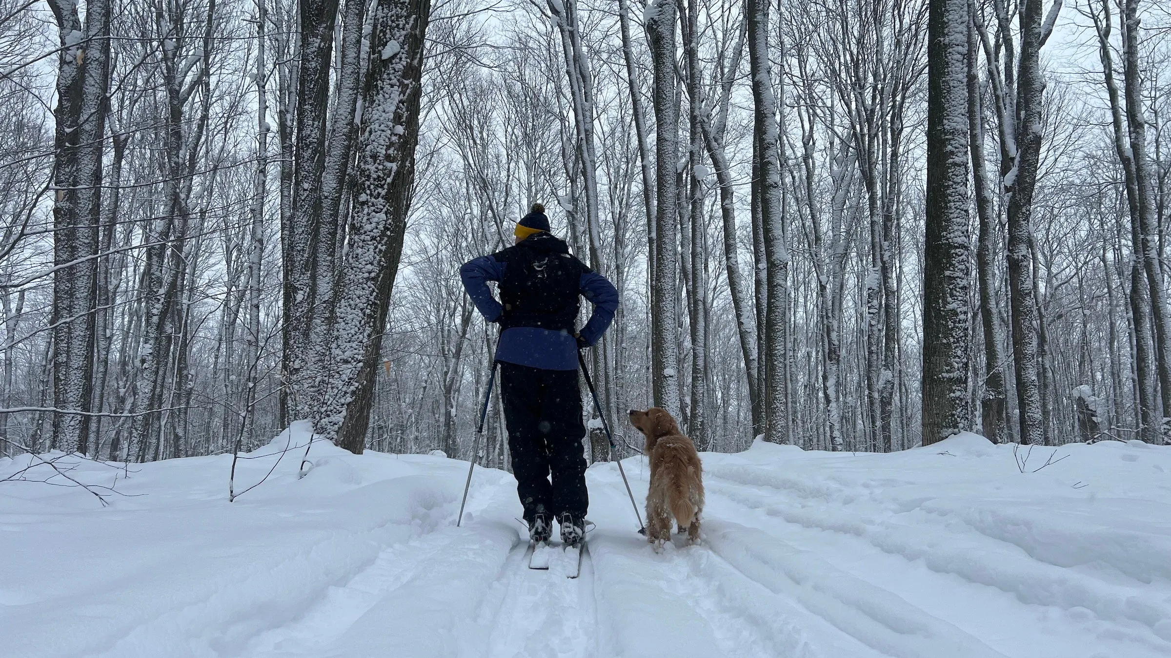 Dave and Phoebe enjoying a day of skiing.