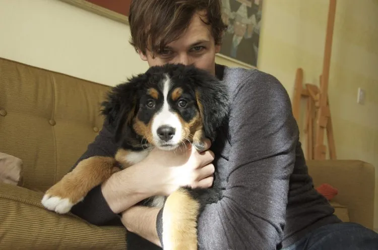 Dedicated dog sitter taking notes for pet care