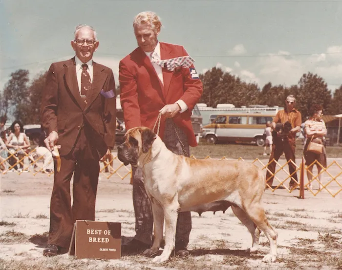 Deer Run Beguine, an early inbreeding and the granddam of the famous Wycliff.