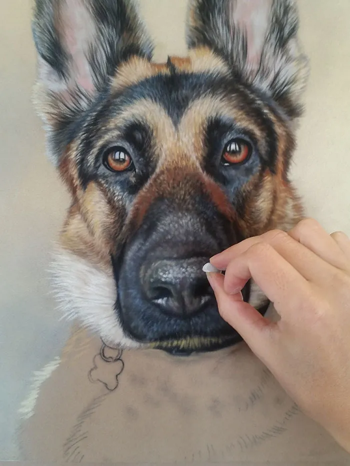 Detail shot of a German Shepherd's nose and muzzle in a drawing, showing the application of small dots and lines for texture.