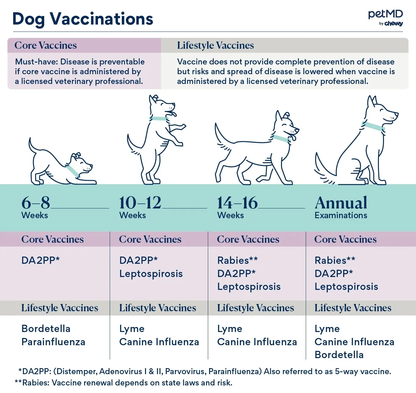 Detailed chart outlining essential dog vaccination schedules by age for puppies and adult dogs.