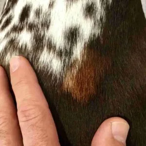 discolouration from flea treatment