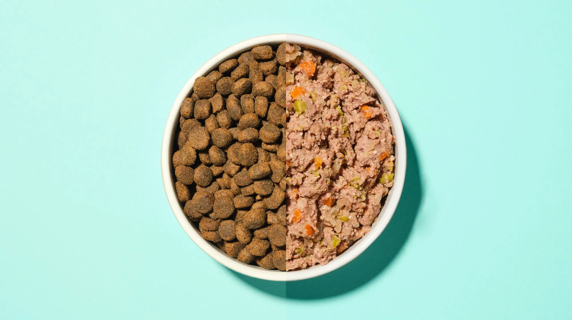 Dog bowl with a mix of softened dry kibble and wet food, ideal for dogs with bad teeth.