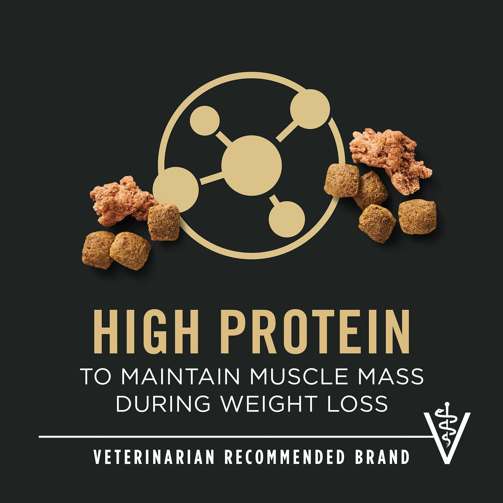 Dog bowl with Purina Pro Plan Senior Weight Management food