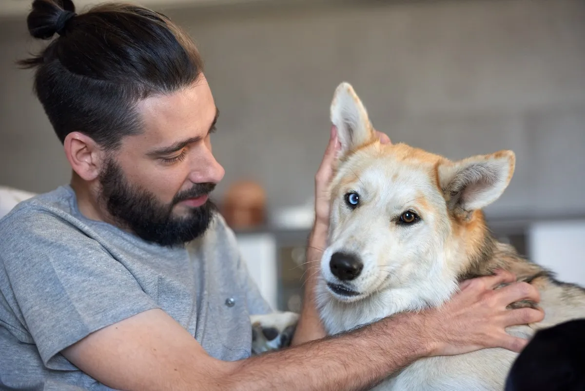 Dog comfortably resting outdoors after natural home remedies for fleas have been applied, emphasizing a flea-free environment.