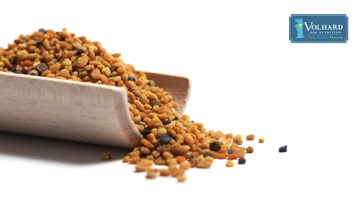Dog eating bee pollen sprinkled on its food