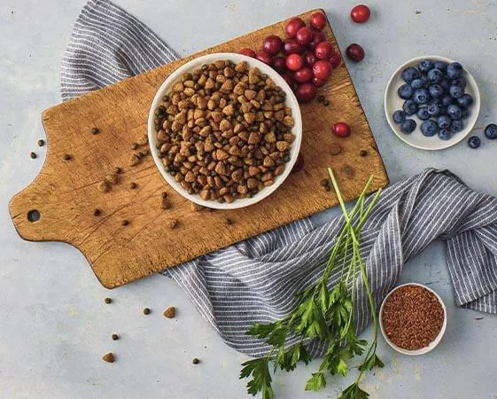 Dog food illustration with LifeSource Bits