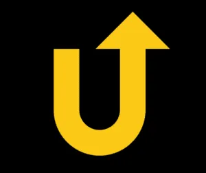 Dog looking calm and content inside a comfortable crate