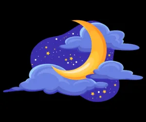 Dog looking curiously from inside a crate, surrounded by toys