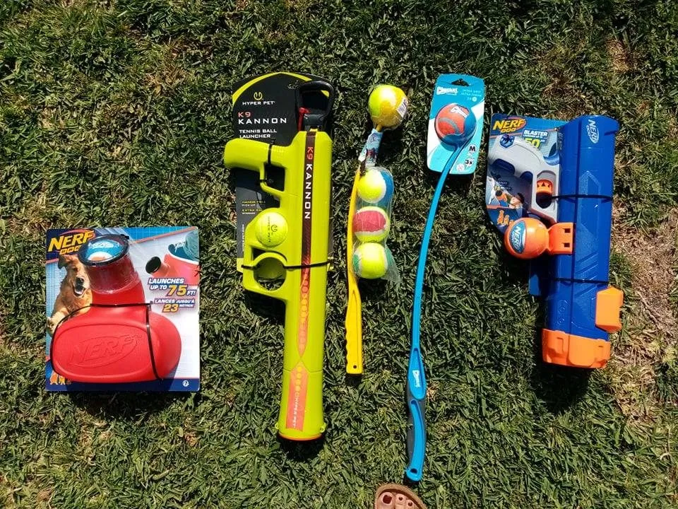 Dog looking excited next to various ball throwers