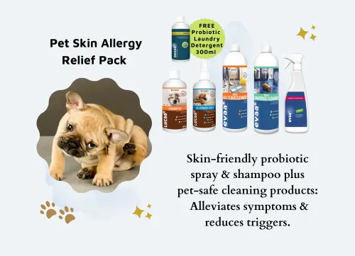 dog skin allergy remedy