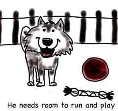 Dog treat being offered to a husky