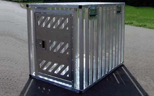 Dog trying to escape a sturdy aluminum crate, highlighting the intensity of crate breakout attempts.