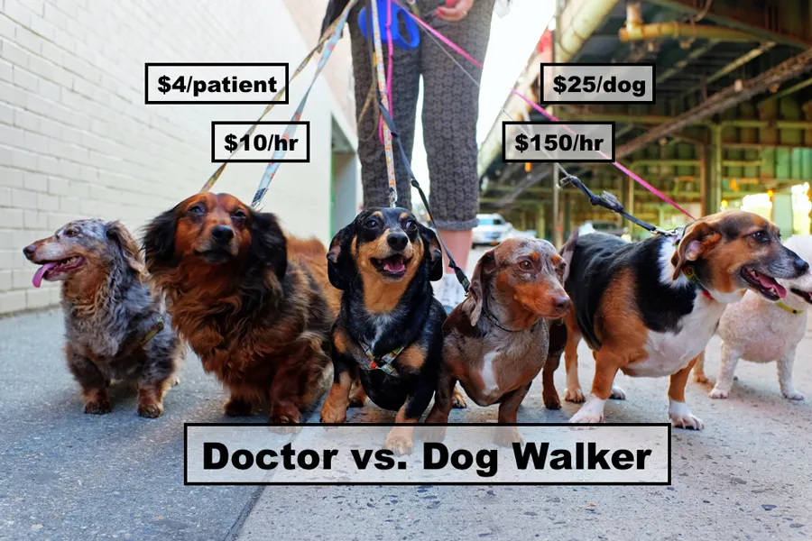 Dog walker job satisfaction and pay compared to a medical career.
