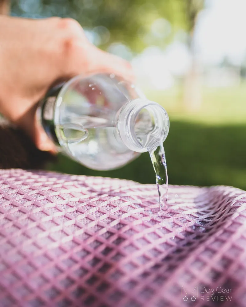 Dog wearing an evaporative cooling vest