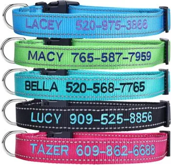 Durable embroidered dog collar with personalized information