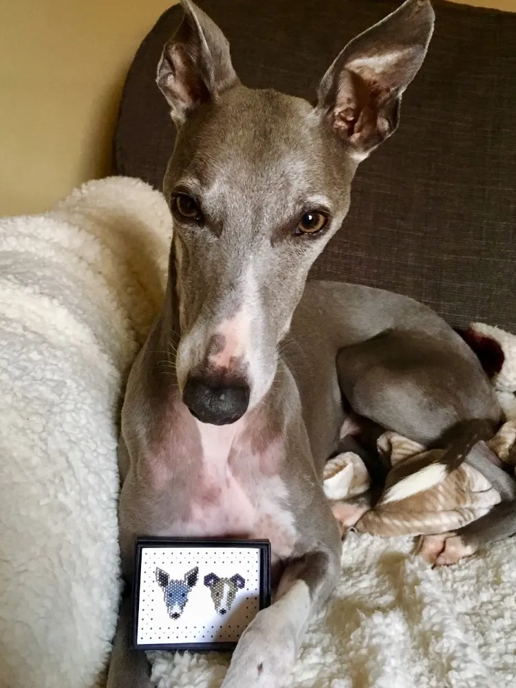 Elaine Graham's detailed enamel pins