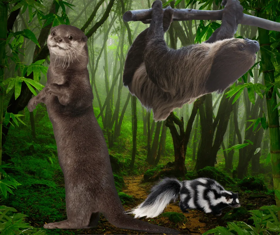 Entrance to "The Wild Side" mini-indoor zoo, featuring exotic animals for a unique visitor experience.