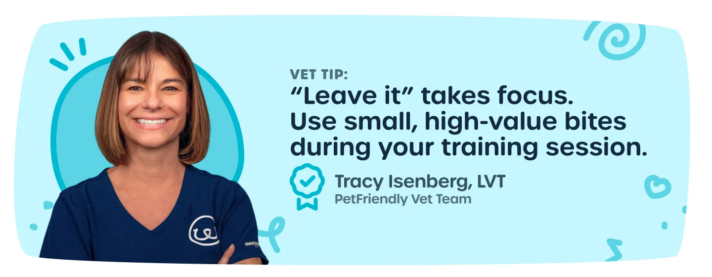 Expert vet advice on puppy training and safety