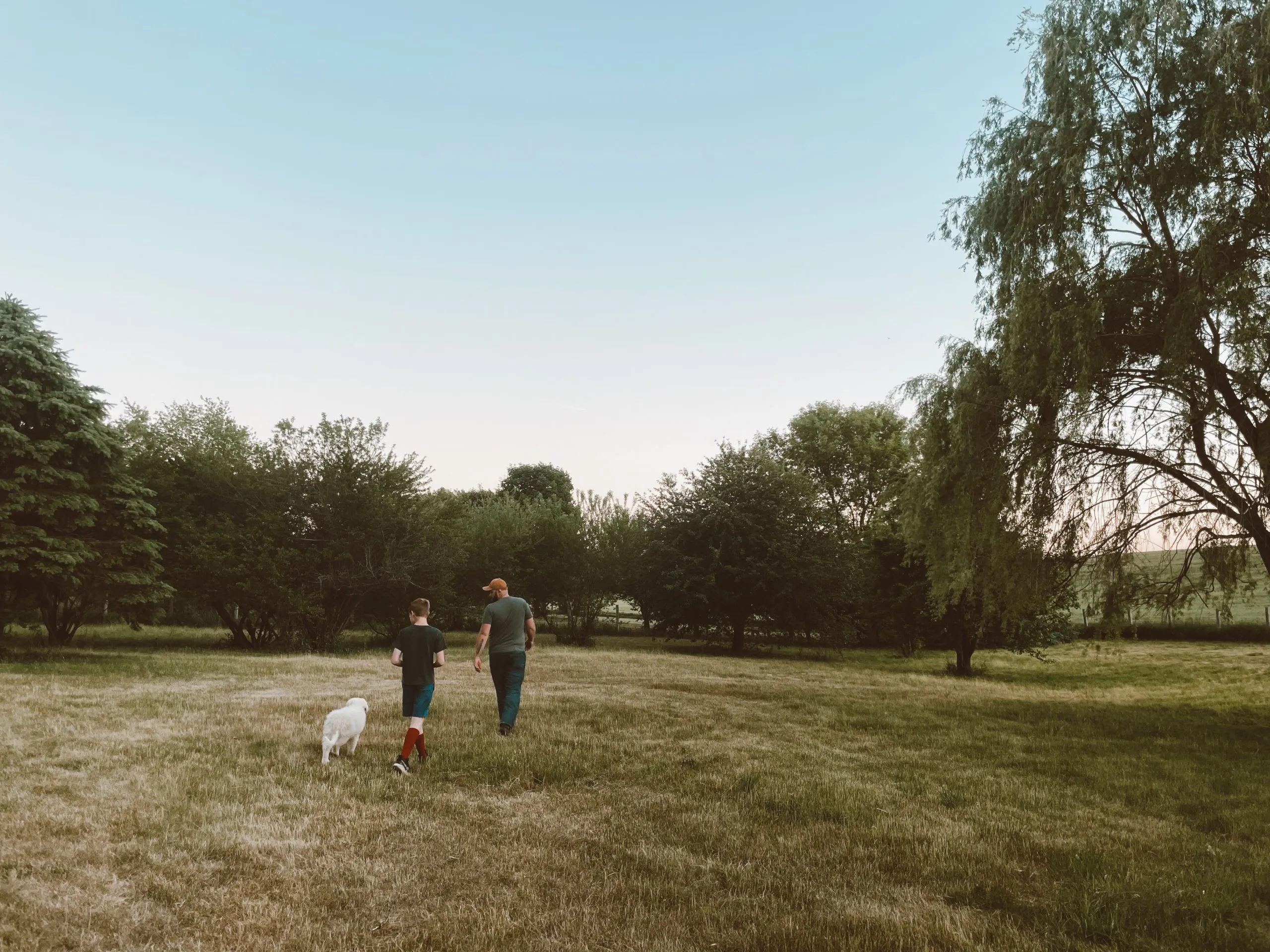 Farm dog Mazikeen resting in a hen house