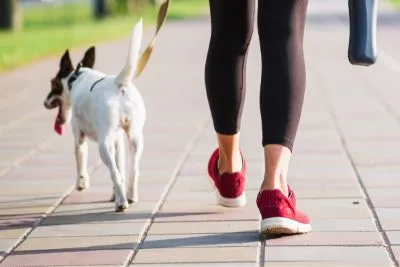 Female legs in red shoes and black leggings walking a small white dog from behind