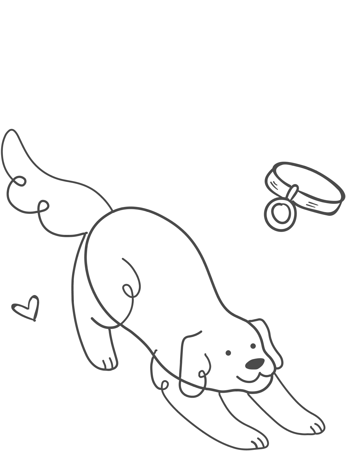 Footer image of a dog