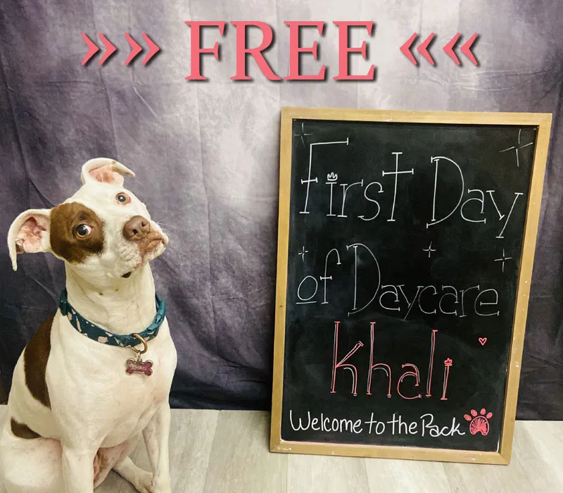 FREE First Day of Daycare