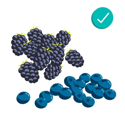 Fresh blueberries and blackberries, healthy and safe berry treats for dogs rich in antioxidants