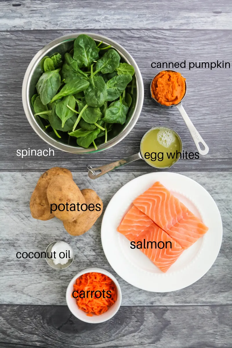 Fresh, healthy ingredients laid out for homemade salmon dog food recipes, including salmon, spinach, carrots, and pumpkin.