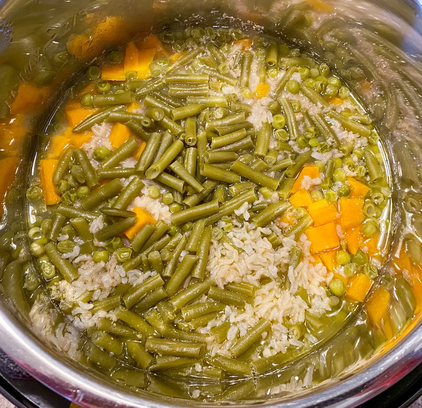 Freshly cooked Instant Pot chicken and rice stew for dogs inside the pot, ready to be stirred