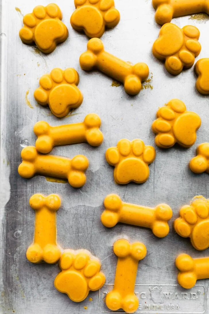 Freshly frozen homemade dog treats in various fun shapes like bones and paw prints, ready for pets to enjoy, following a vet-approved recipe.